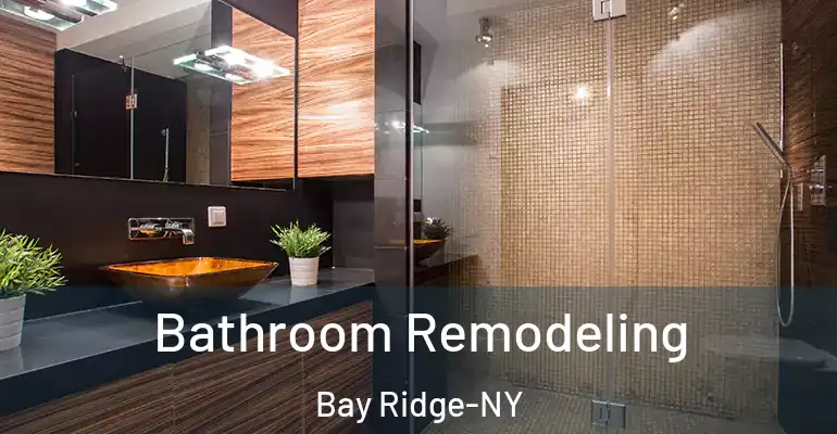 inner Bathroom imggen Bathroom Remodeling Bay Ridge-NY