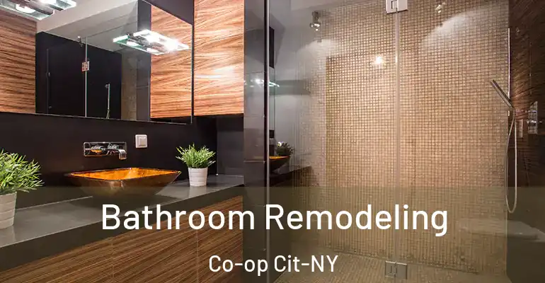 inner Bathroom imggen Bathroom Remodeling Co-op Cit-NY