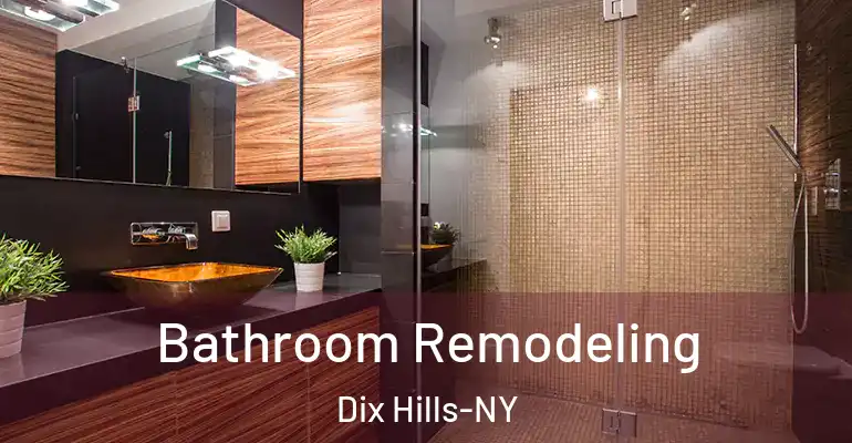inner Bathroom imggen Bathroom Remodeling Dix Hills-NY