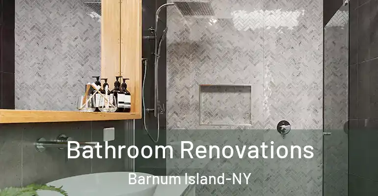 inner Bathroom imggen Bathroom Renovations Barnum Island-NY