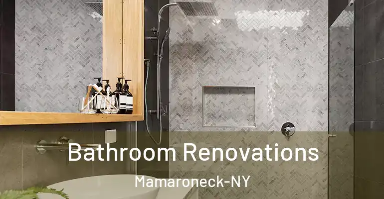 inner Bathroom imggen Bathroom Renovations Mamaroneck-NY