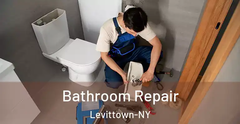 inner Bathroom imggen Bathroom Repair Levittown-NY
