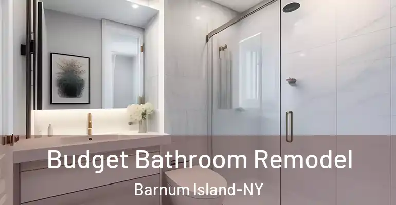 inner Bathroom imggen Budget Bathroom Remodel Barnum Island-NY