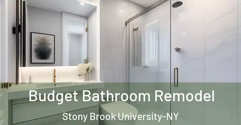 inner Bathroom imggen Budget Bathroom Remodel Stony Brook University-NY
