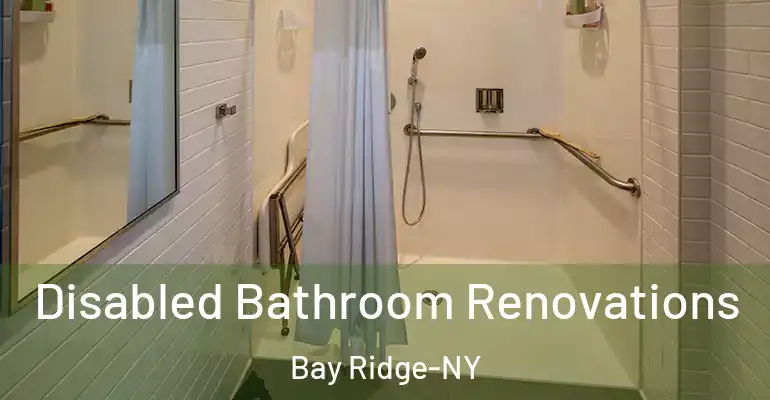 inner Bathroom imggen Disabled Bathroom Renovations Bay Ridge-NY