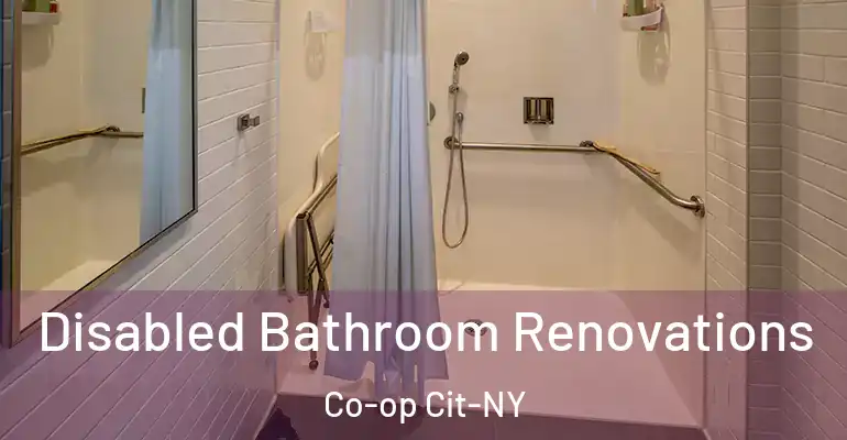 inner Bathroom imggen Disabled Bathroom Renovations Co-op Cit-NY