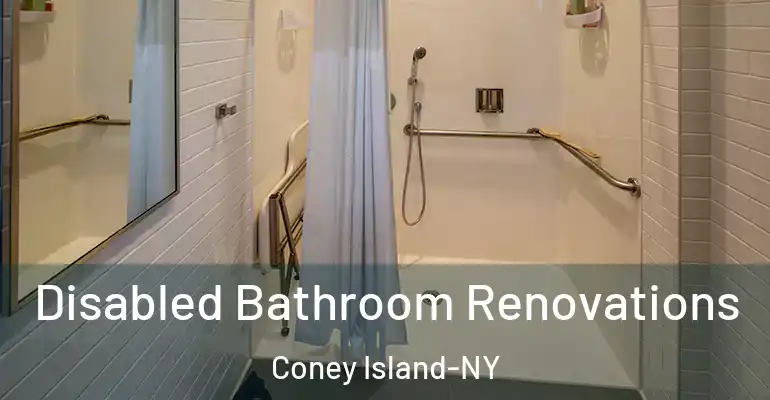 inner Bathroom imggen Disabled Bathroom Renovations Coney Island-NY