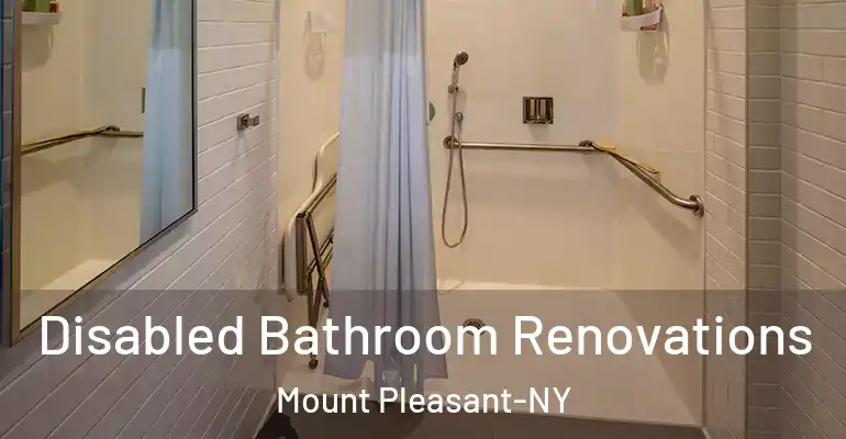 inner Bathroom imggen Disabled Bathroom Renovations Mount Pleasant-NY