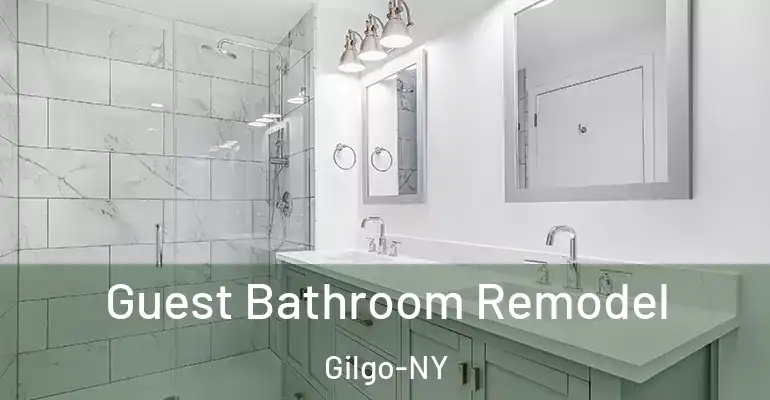 inner Bathroom imggen Guest Bathroom Remodel Gilgo-NY