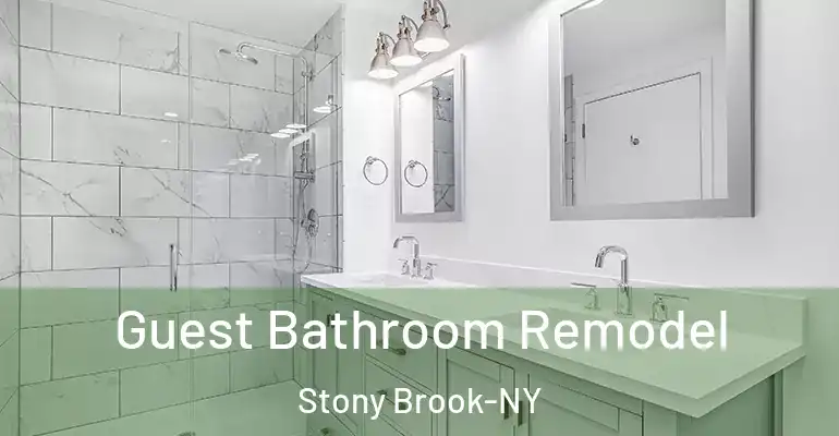 inner Bathroom imggen Guest Bathroom Remodel Stony Brook-NY