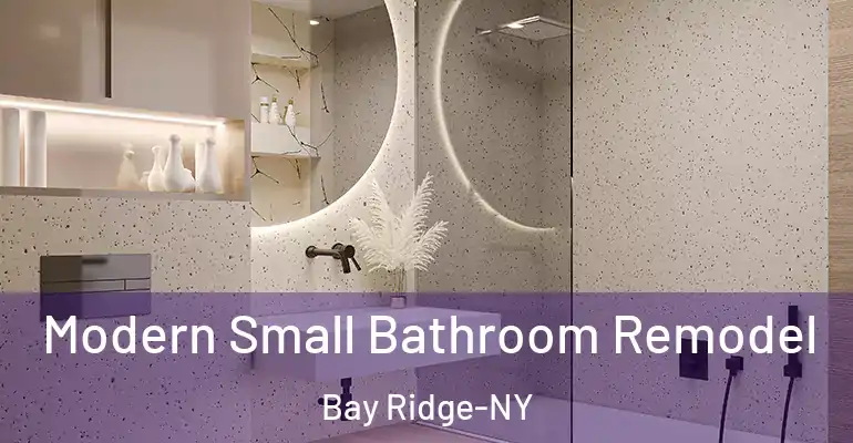 inner Bathroom imggen Modern Small Bathroom Remodel Bay Ridge-NY