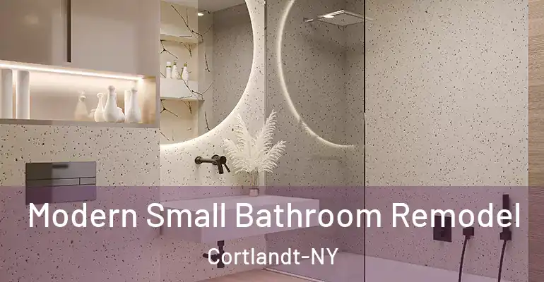 inner Bathroom imggen Modern Small Bathroom Remodel Cortlandt-NY