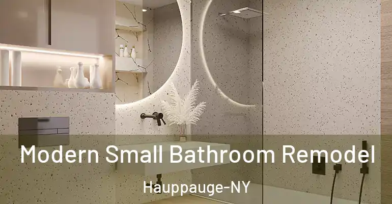 inner Bathroom imggen Modern Small Bathroom Remodel Hauppauge-NY