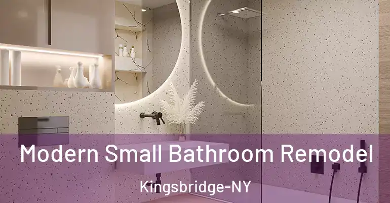 inner Bathroom imggen Modern Small Bathroom Remodel Kingsbridge-NY
