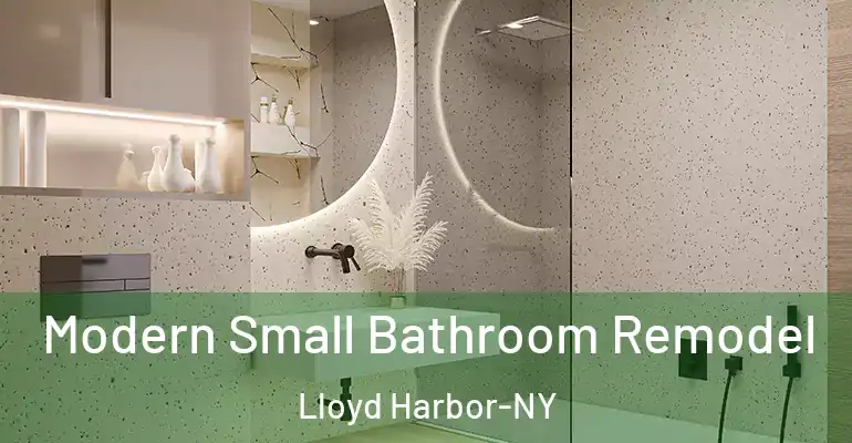 inner Bathroom imggen Modern Small Bathroom Remodel Lloyd Harbor-NY