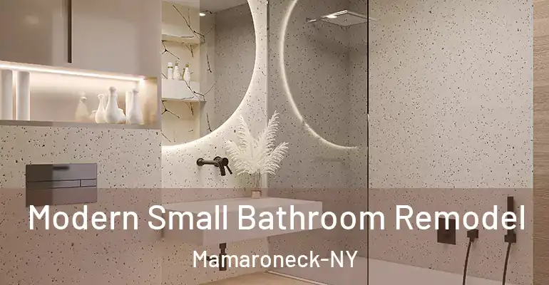 inner Bathroom imggen Modern Small Bathroom Remodel Mamaroneck-NY