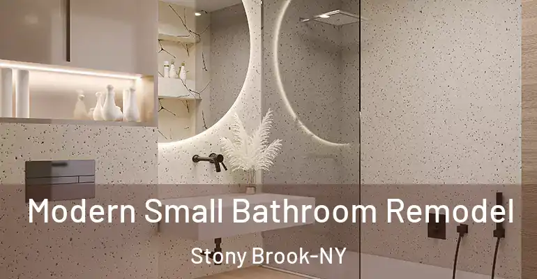 inner Bathroom imggen Modern Small Bathroom Remodel Stony Brook-NY