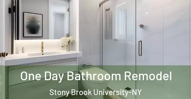 inner Bathroom imggen One Day Bathroom Remodel Stony Brook University-NY