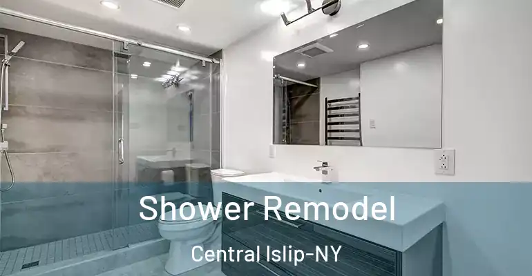 inner Bathroom imggen Shower Remodel Central Islip-NY