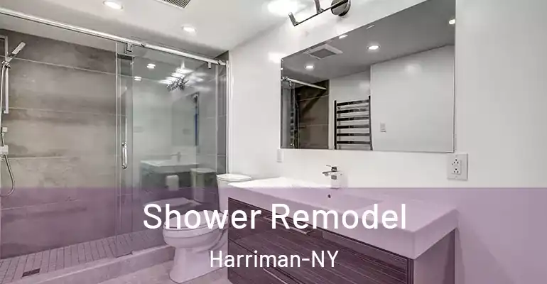 inner Bathroom imggen Shower Remodel Harriman-NY