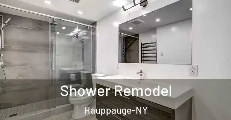 inner Bathroom imggen Shower Remodel Hauppauge-NY