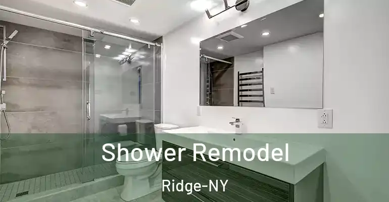inner Bathroom imggen Shower Remodel Ridge-NY