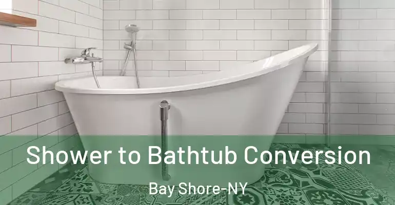 inner Bathroom imggen Shower to Bathtub Conversion Bay Shore-NY
