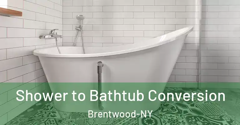 inner Bathroom imggen Shower to Bathtub Conversion Brentwood-NY