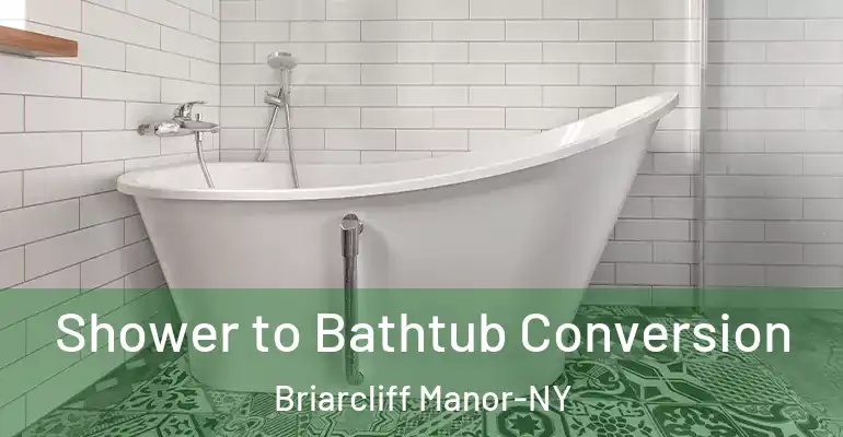 inner Bathroom imggen Shower to Bathtub Conversion Briarcliff Manor-NY