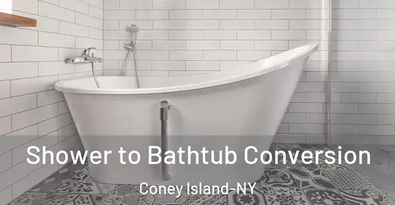 inner Bathroom imggen Shower to Bathtub Conversion Coney Island-NY