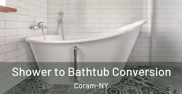 inner Bathroom imggen Shower to Bathtub Conversion Coram-NY