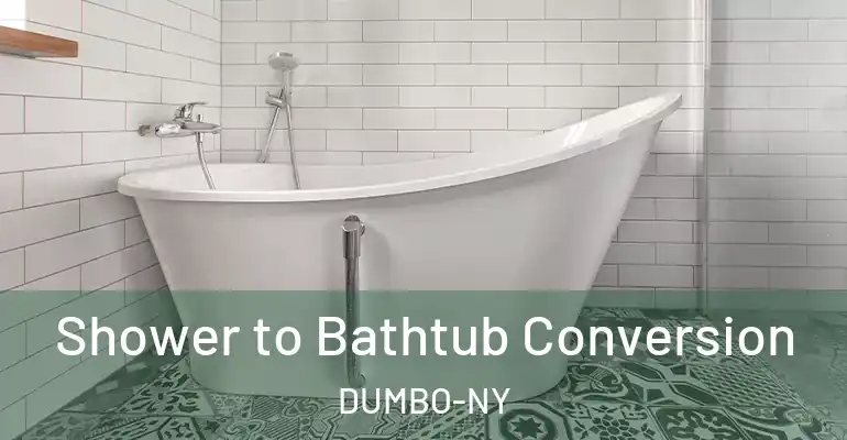 inner Bathroom imggen Shower to Bathtub Conversion DUMBO-NY