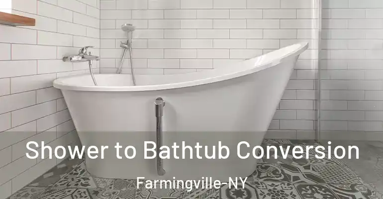 inner Bathroom imggen Shower to Bathtub Conversion Farmingville-NY