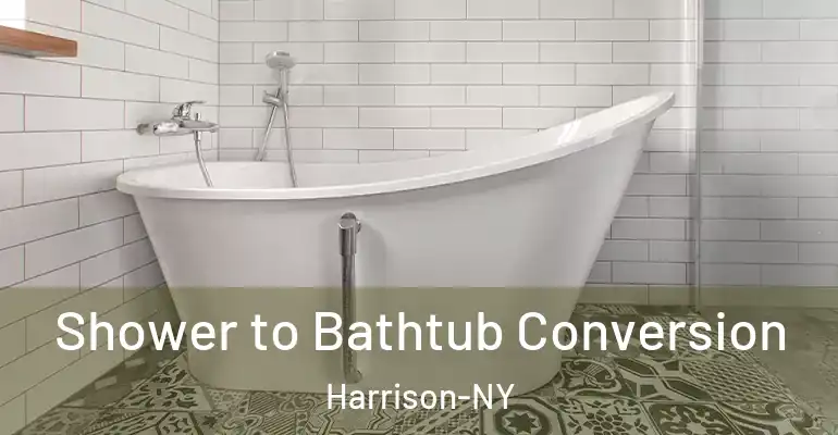inner Bathroom imggen Shower to Bathtub Conversion Harrison-NY
