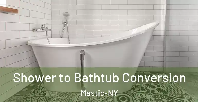 inner Bathroom imggen Shower to Bathtub Conversion Mastic-NY