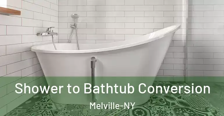 inner Bathroom imggen Shower to Bathtub Conversion Melville-NY