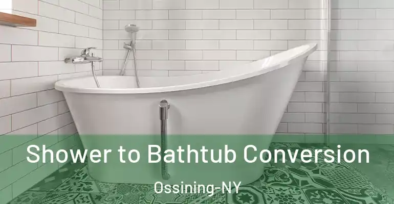 inner Bathroom imggen Shower to Bathtub Conversion Ossining-NY