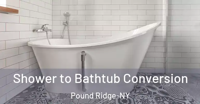 inner Bathroom imggen Shower to Bathtub Conversion Pound Ridge-NY