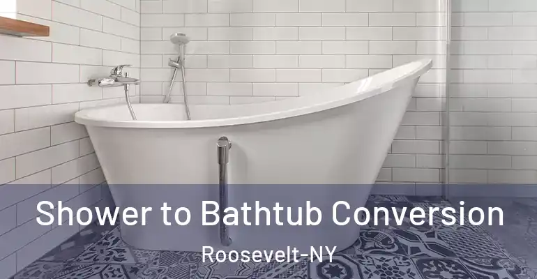 inner Bathroom imggen Shower to Bathtub Conversion Roosevelt-NY