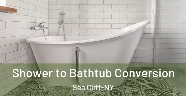 inner Bathroom imggen Shower to Bathtub Conversion Sea Cliff-NY