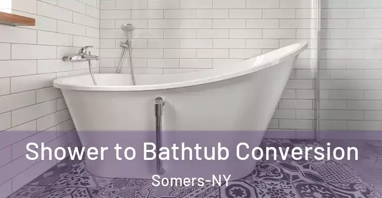 inner Bathroom imggen Shower to Bathtub Conversion Somers-NY