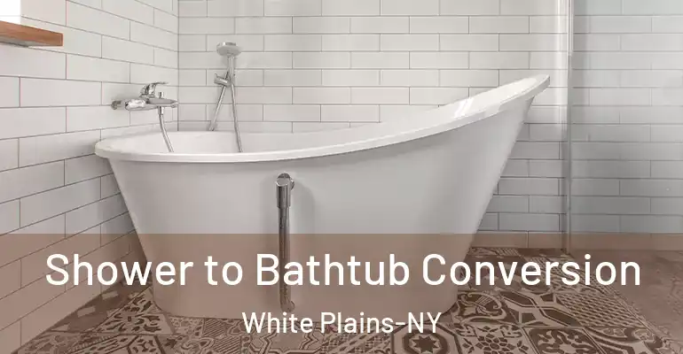 inner Bathroom imggen Shower to Bathtub Conversion White Plains-NY