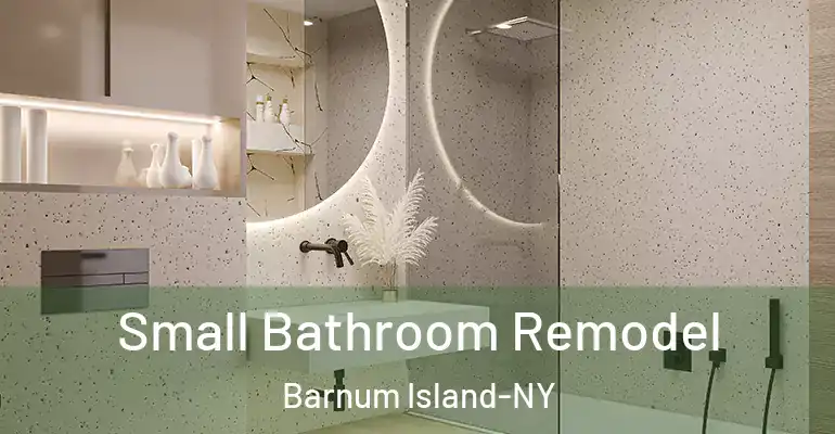inner Bathroom imggen Small Bathroom Remodel Barnum Island-NY