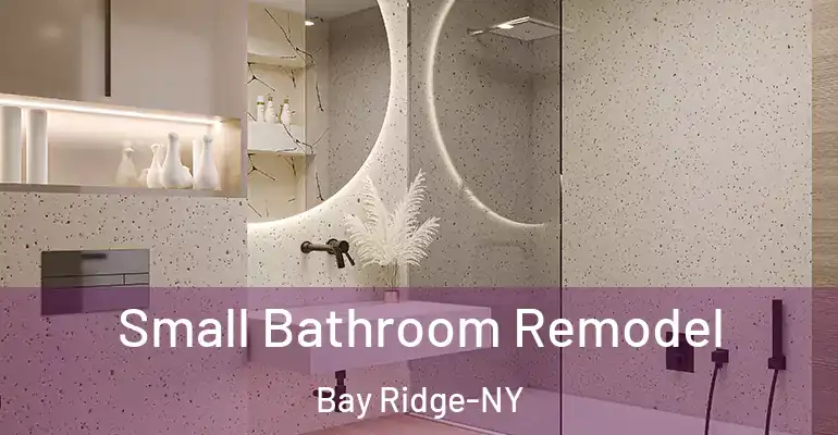 inner Bathroom imggen Small Bathroom Remodel Bay Ridge-NY