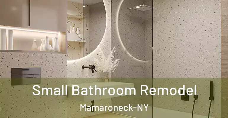 inner Bathroom imggen Small Bathroom Remodel Mamaroneck-NY