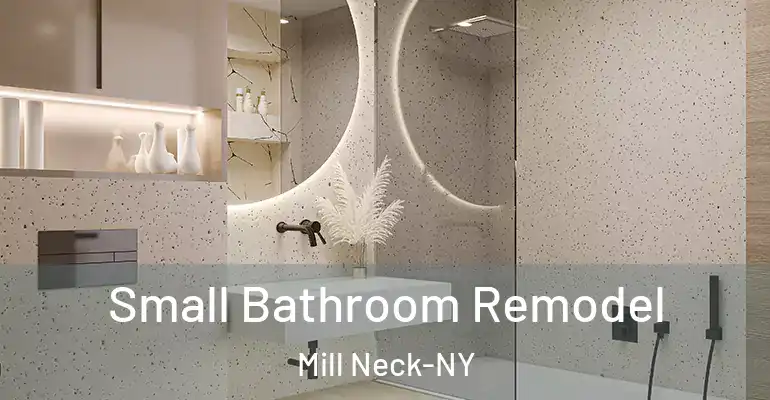 inner Bathroom imggen Small Bathroom Remodel Mill Neck-NY