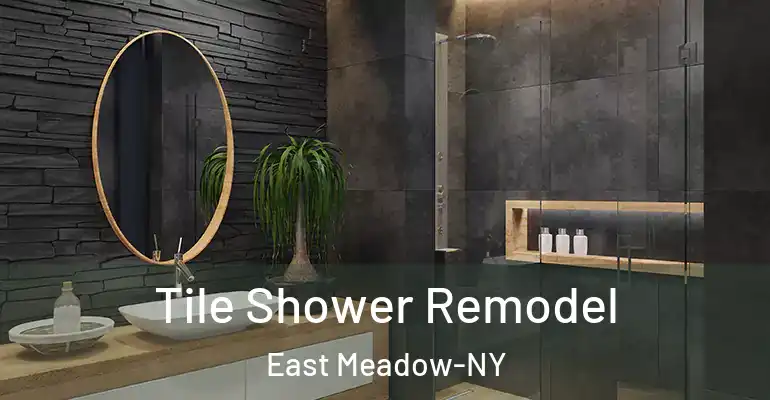 inner Bathroom imggen Tile Shower Remodel East Meadow-NY