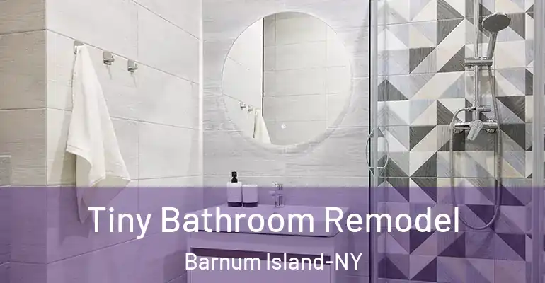 inner Bathroom imggen Tiny Bathroom Remodel Barnum Island-NY