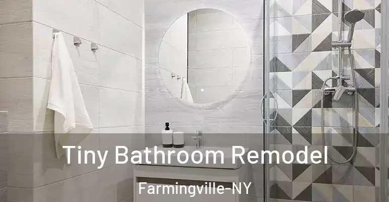 inner Bathroom imggen Tiny Bathroom Remodel Farmingville-NY