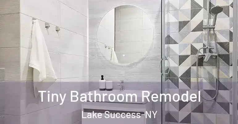 inner Bathroom imggen Tiny Bathroom Remodel Lake Success-NY